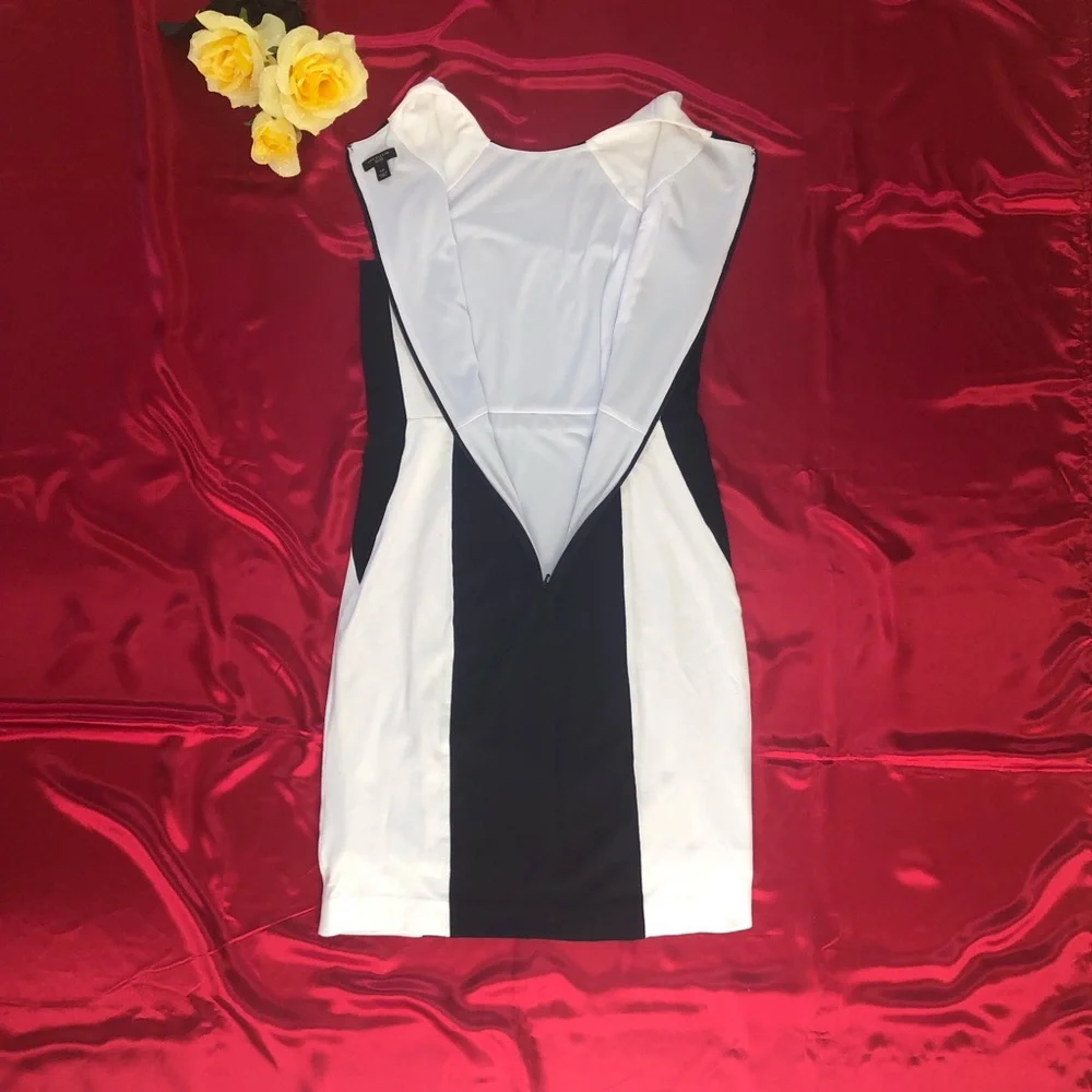 Ann Taylor Black & White Color Block Sleeveless Sheath Dress Petite - Picture 6 of 8